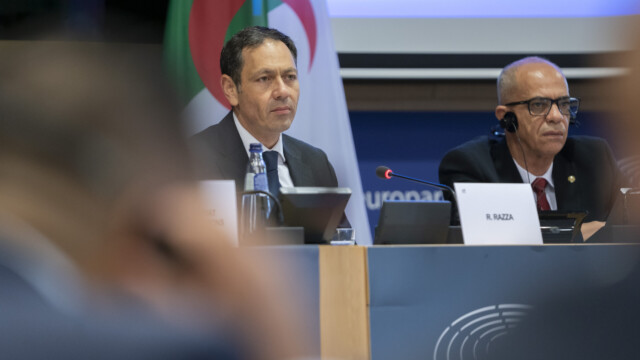 2ª Commissione parlamentare mista UE-Algeria