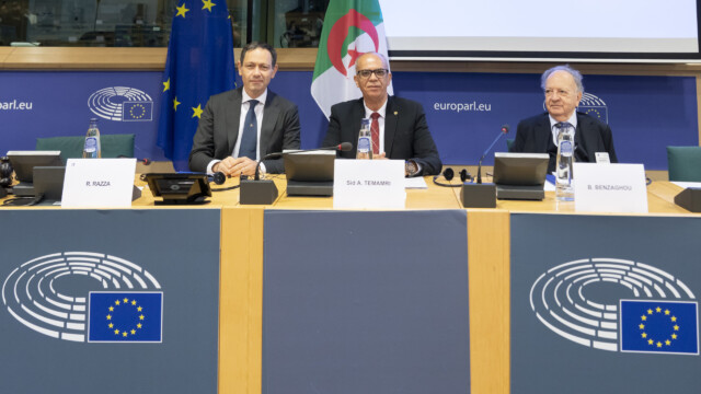 2ª Commissione parlamentare mista UE-Algeria