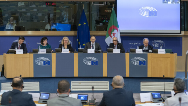 2ª Commissione parlamentare mista UE-Algeria